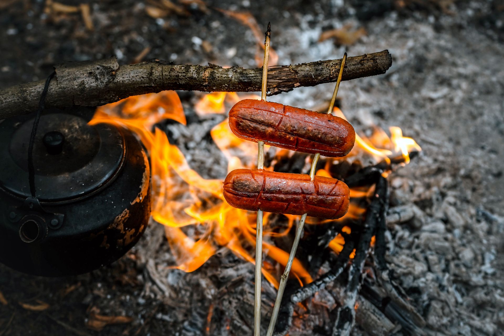 AdobeStock_381806130
